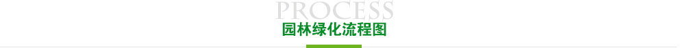 开云(中国)官方在线登录绿化流程图