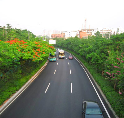 深圳市政道路开云(中国)官方在线登录绿化施工